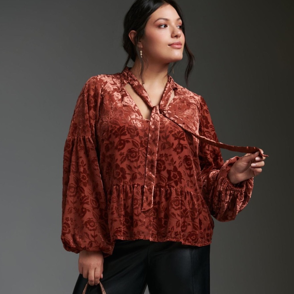 Anthropologie Velvet Tie Neck Blouse